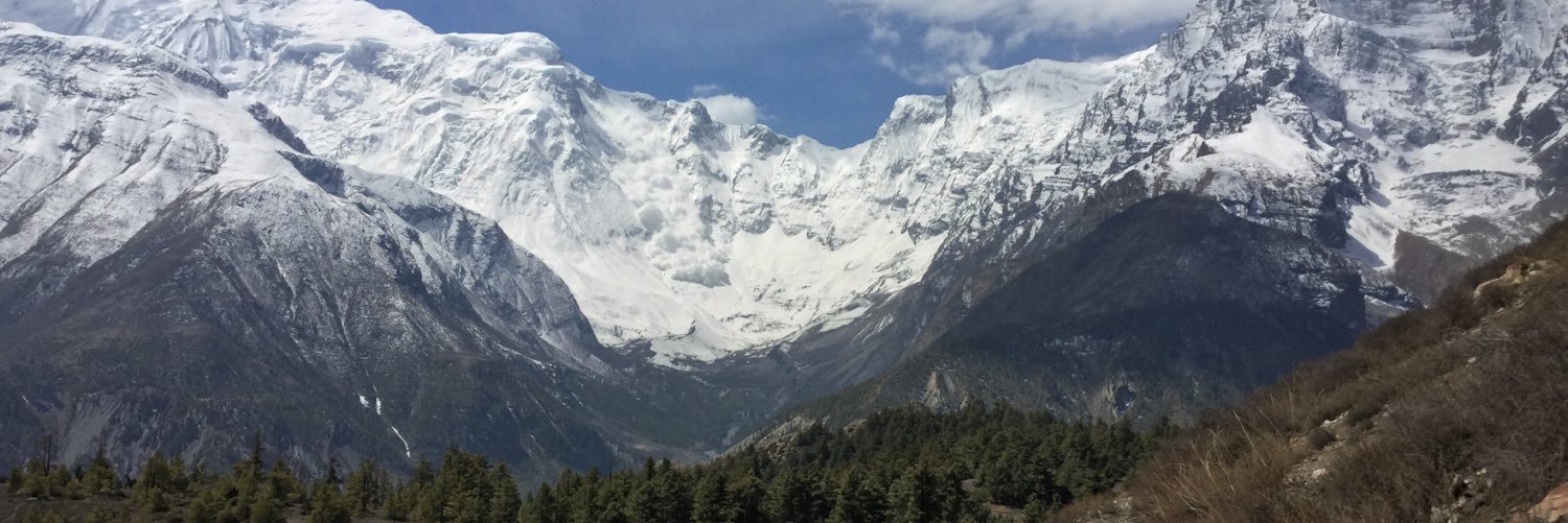 Wade Williams banner