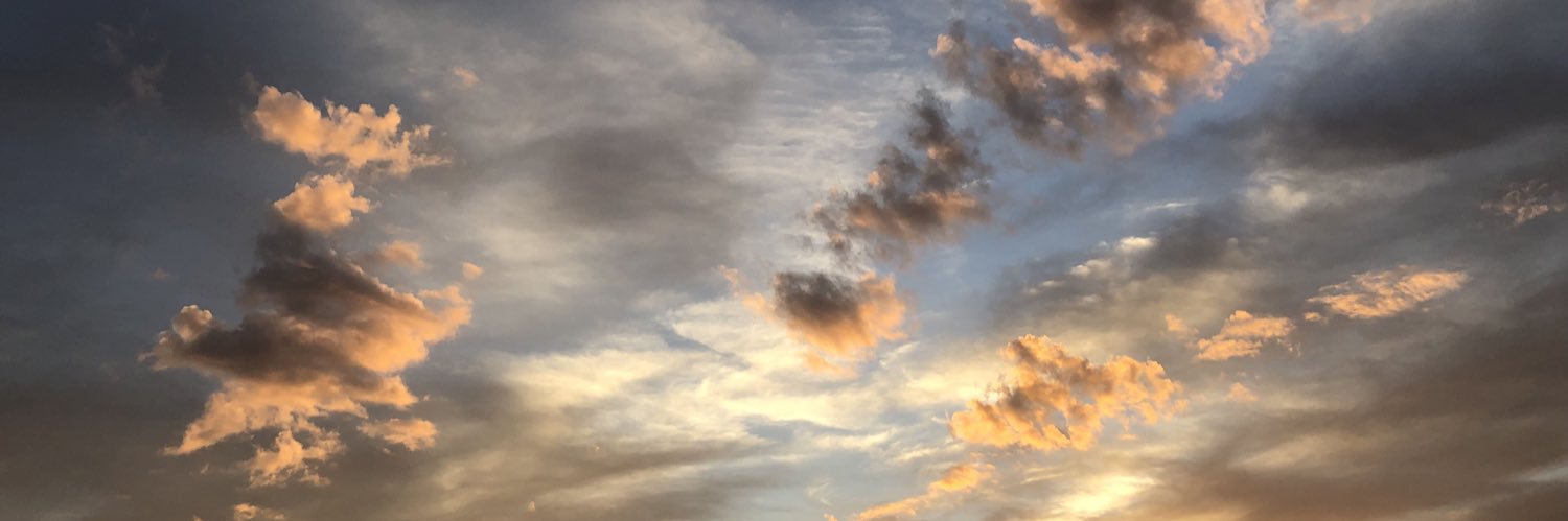 رُويْدا banner