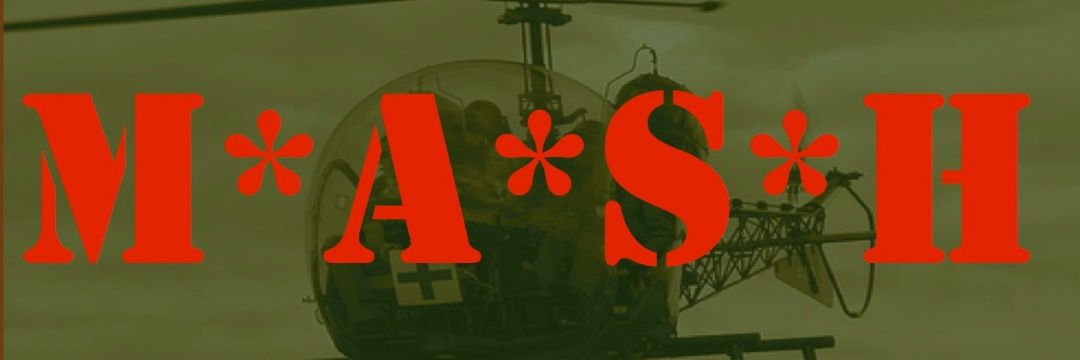 Mashaholic's banner