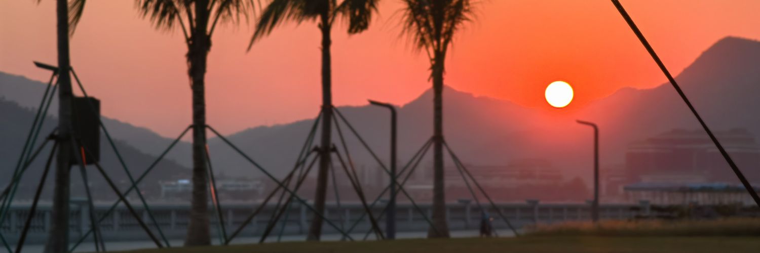 swordflys's profile banner image