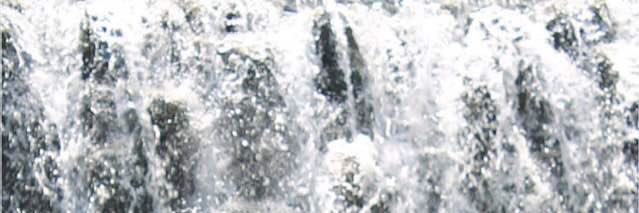 WadhSh's profile banner image