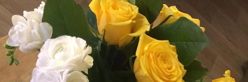 TheBee225227's profile banner image
