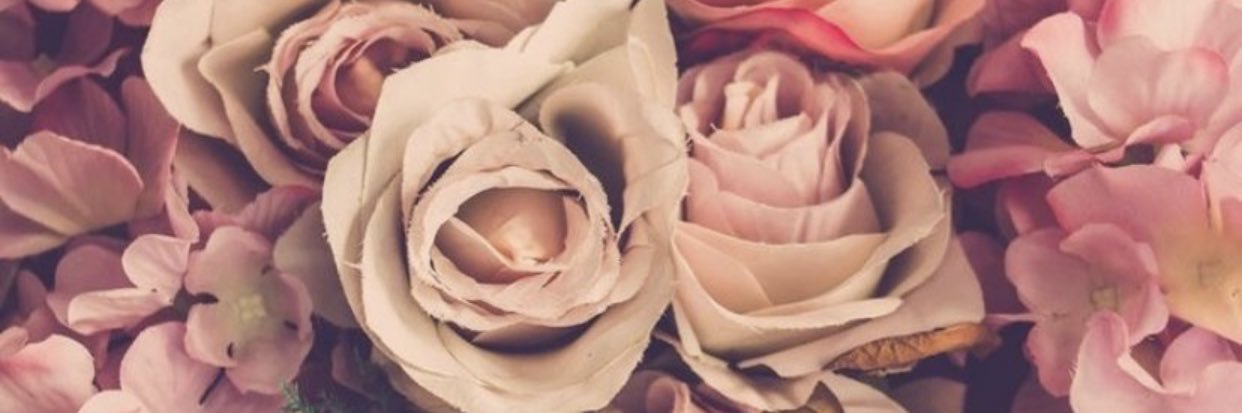 luannavbm's profile banner image