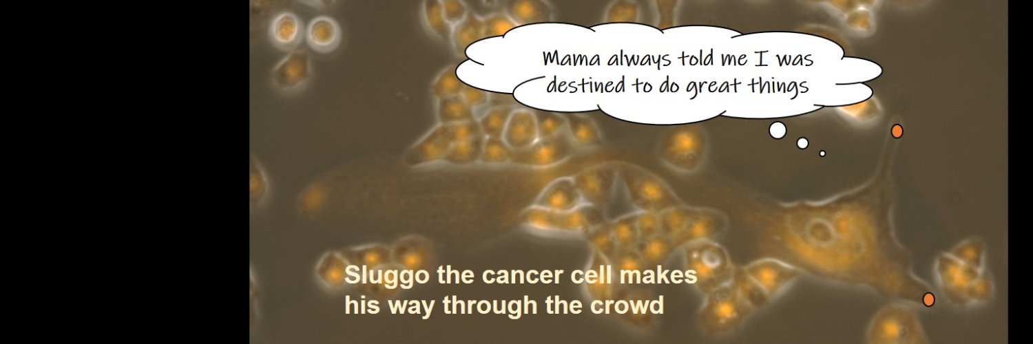 Catherine Millar-Haskell banner