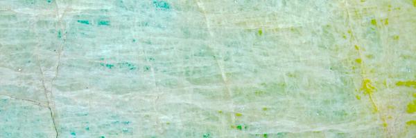 thebionicbook Profile Banner