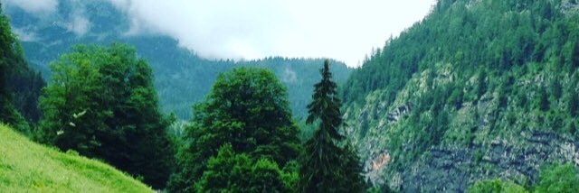 kedressel's profile banner image