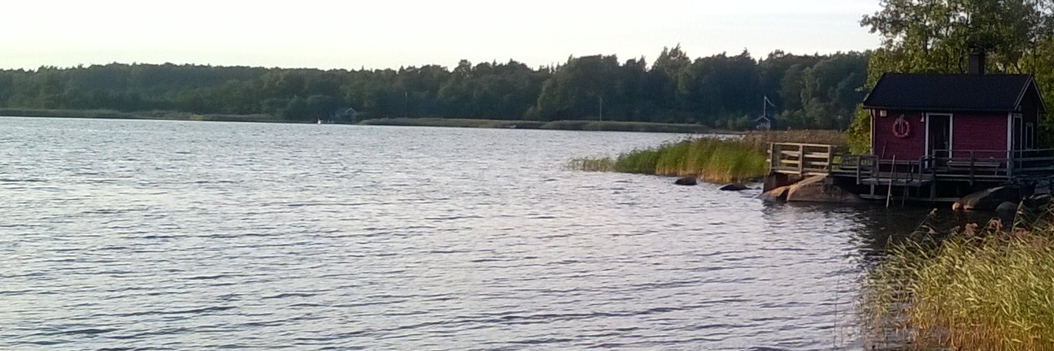 FrTaneli's profile banner image