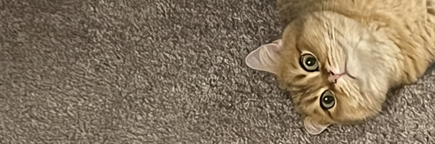_MokoChoco_'s profile banner image