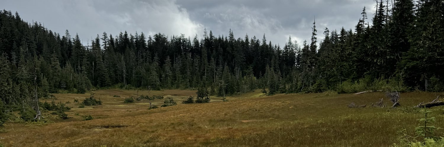 BridgetGalusha's profile banner image