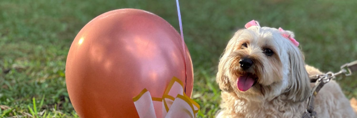 cmmirth__'s profile banner image