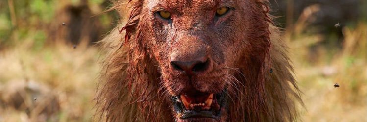 🐐 banner