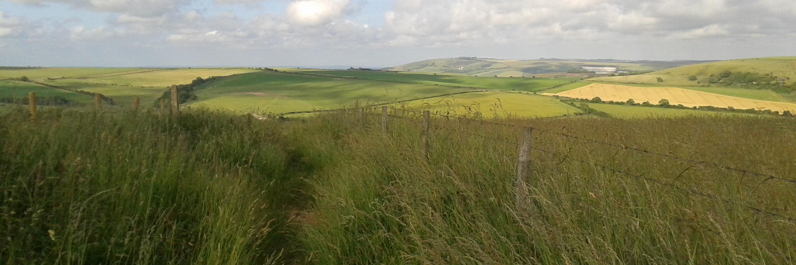 Grace Henderson RN DN QN MSc banner