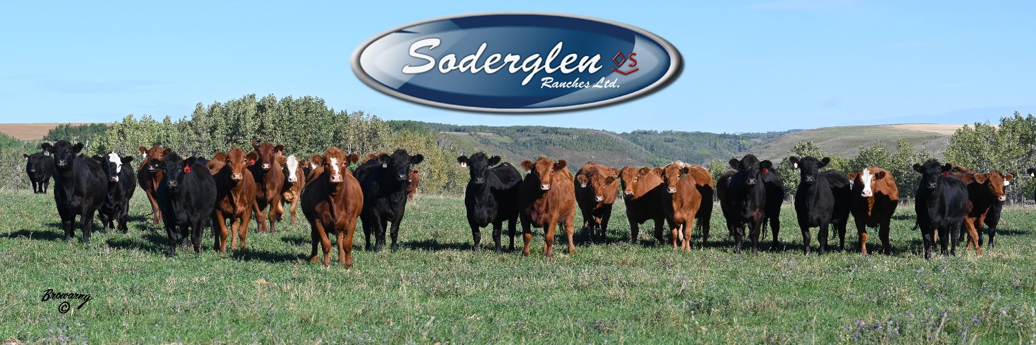 Soderglen Ranches banner