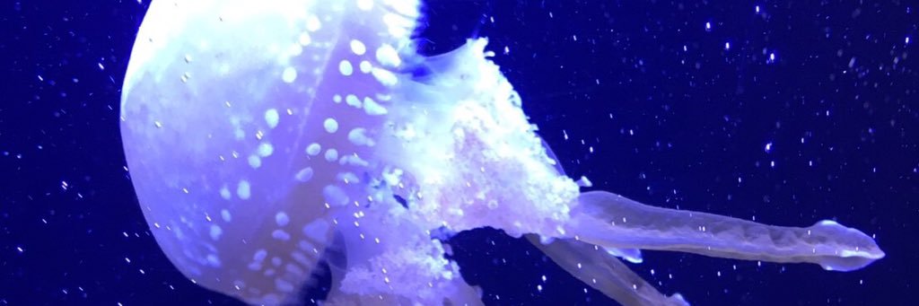 r_a_m26's profile banner image