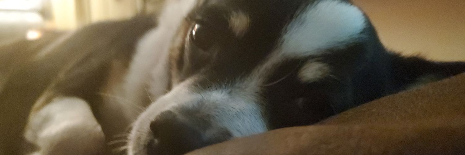 KevTev77's profile banner image