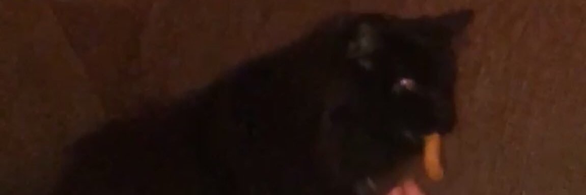 n_fuller4's profile banner image