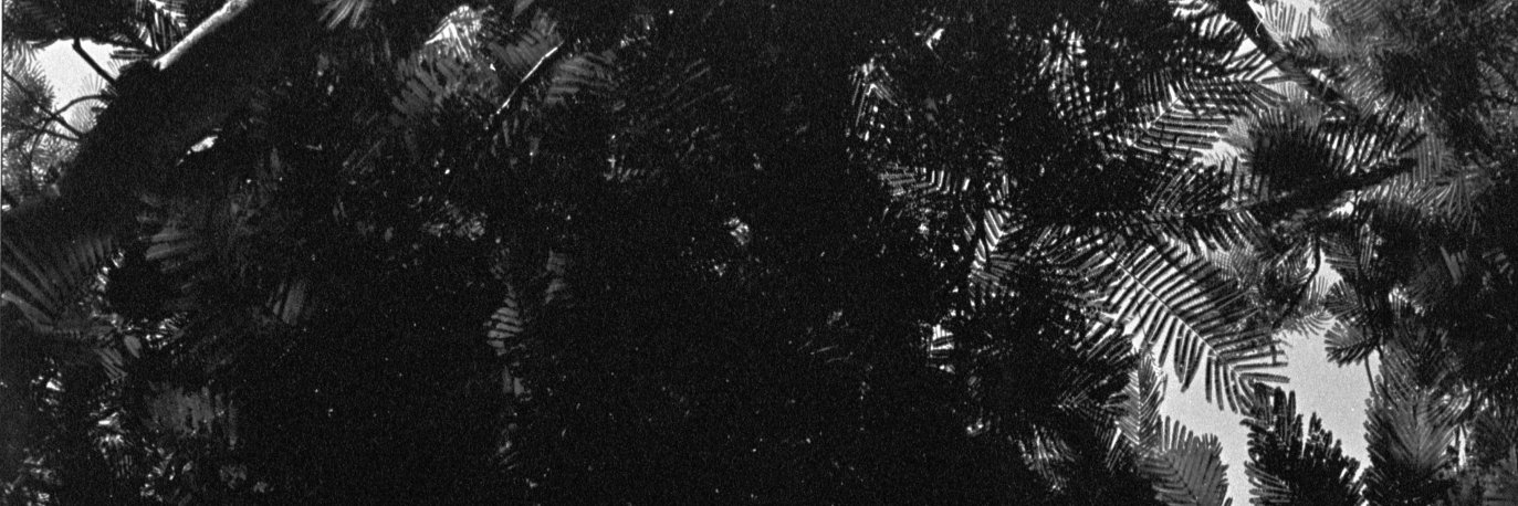 Gry.Clds banner