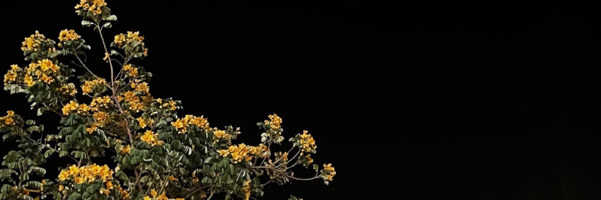 wii_990's profile banner image