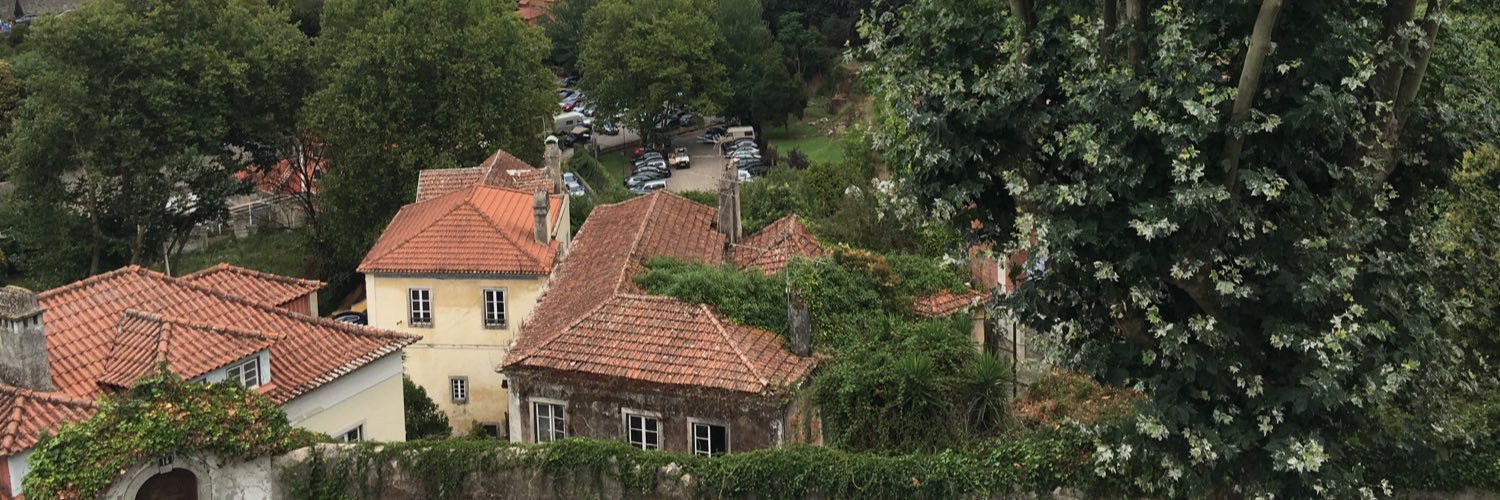 laura_outeiro's profile banner image