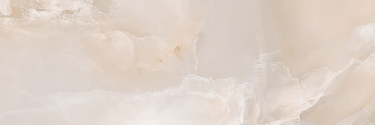 Paige banner