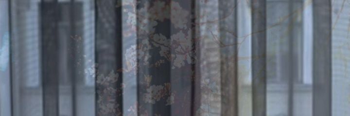 nvlraaa's profile banner image