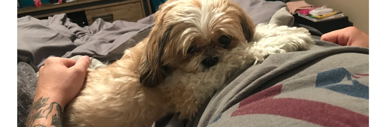 Sandyboox3's profile banner image
