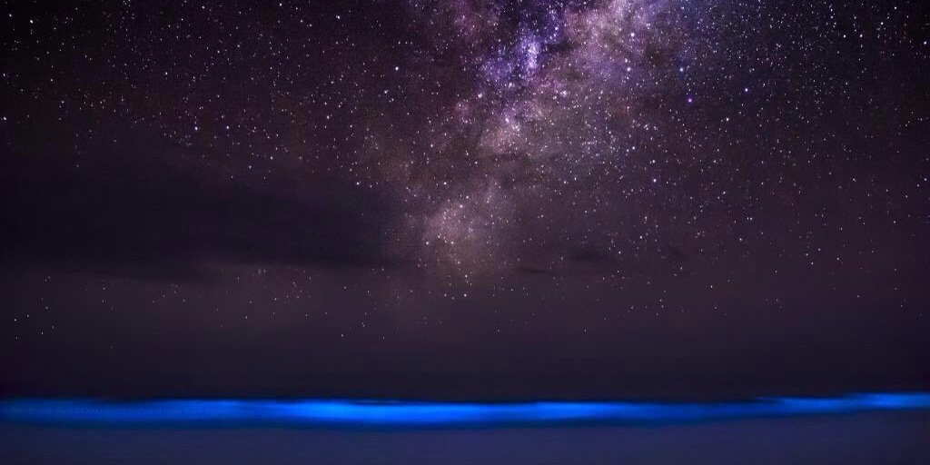 camyoung6's profile banner image