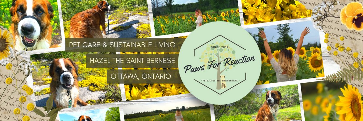 PawsForReaction's profile banner image