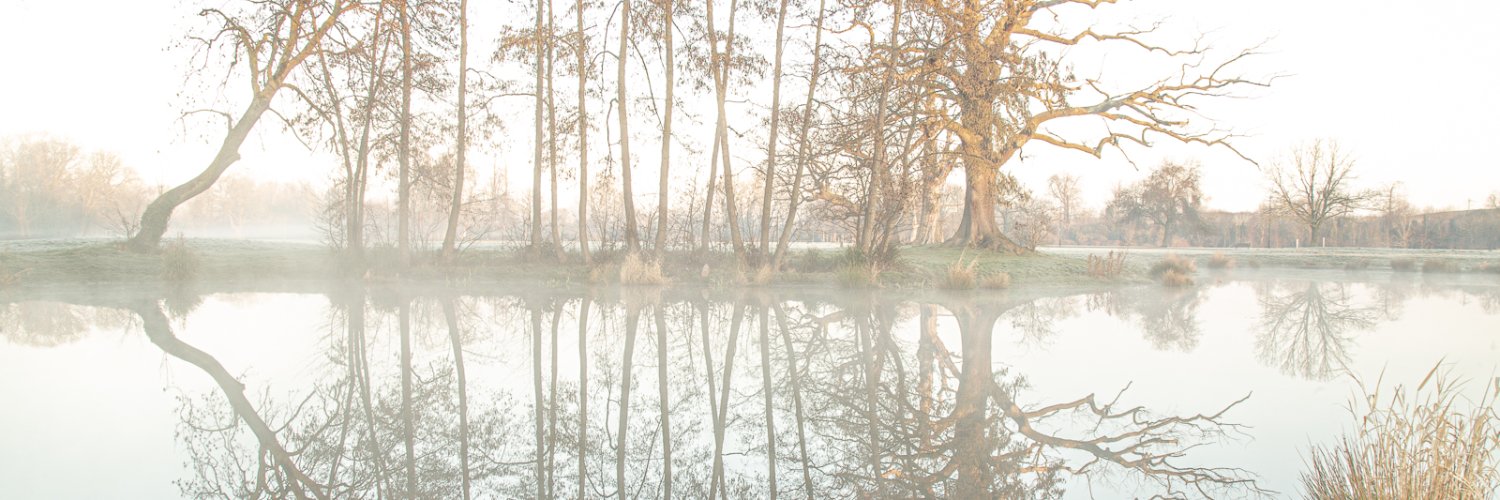 Creativecarole banner