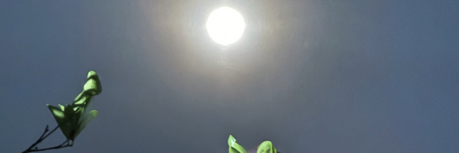 Gina Alterego banner