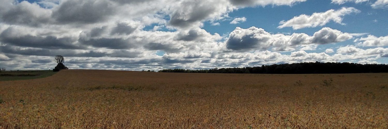 Tracy Killinger 🇺🇸 banner