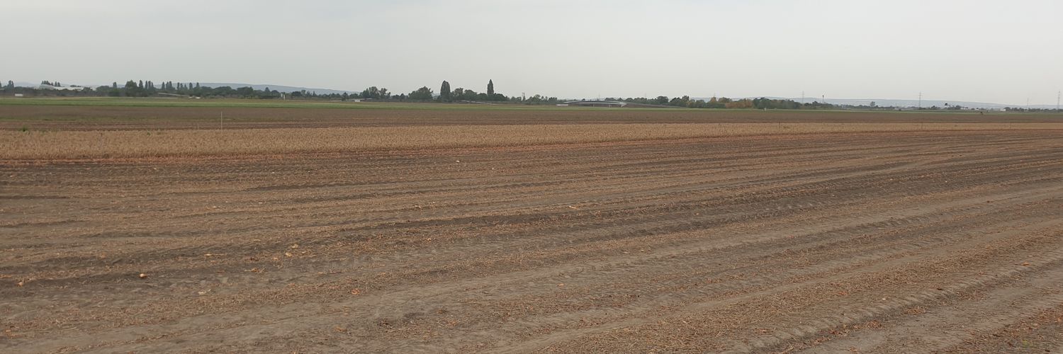 General Zod 📯 banner