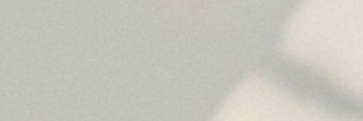 Aan81 banner