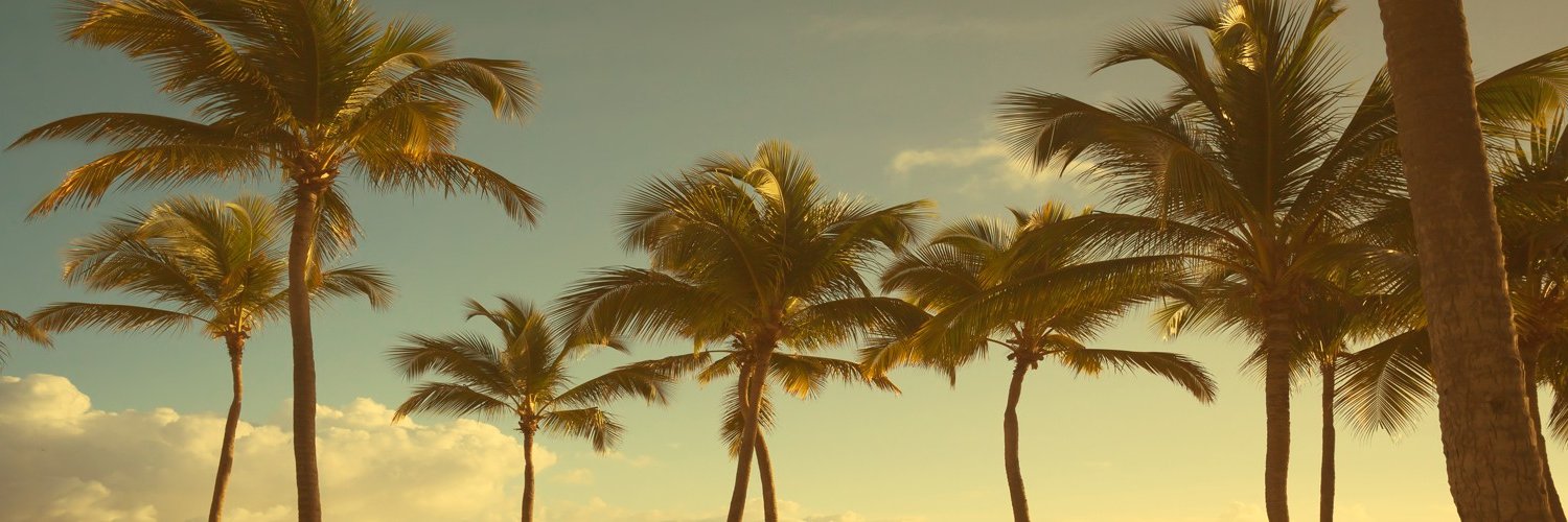 jaimeskull's profile banner image