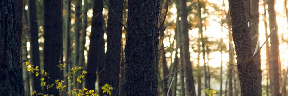amieregester's profile banner image