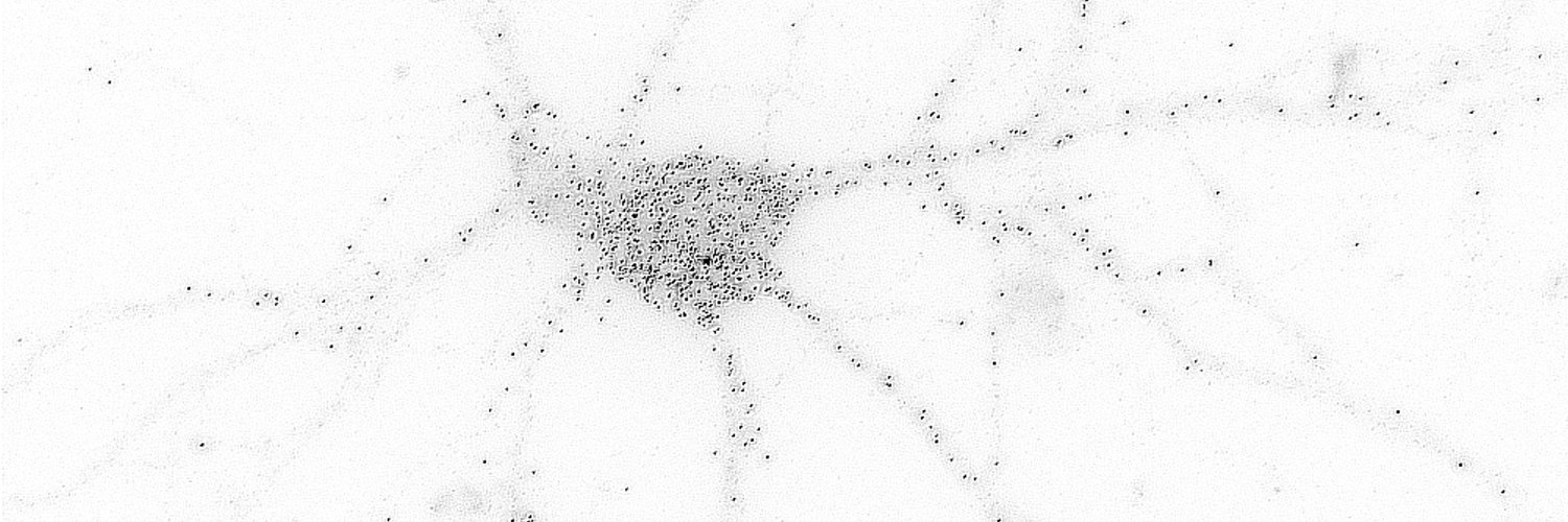 Cledi Cerda-Jara banner