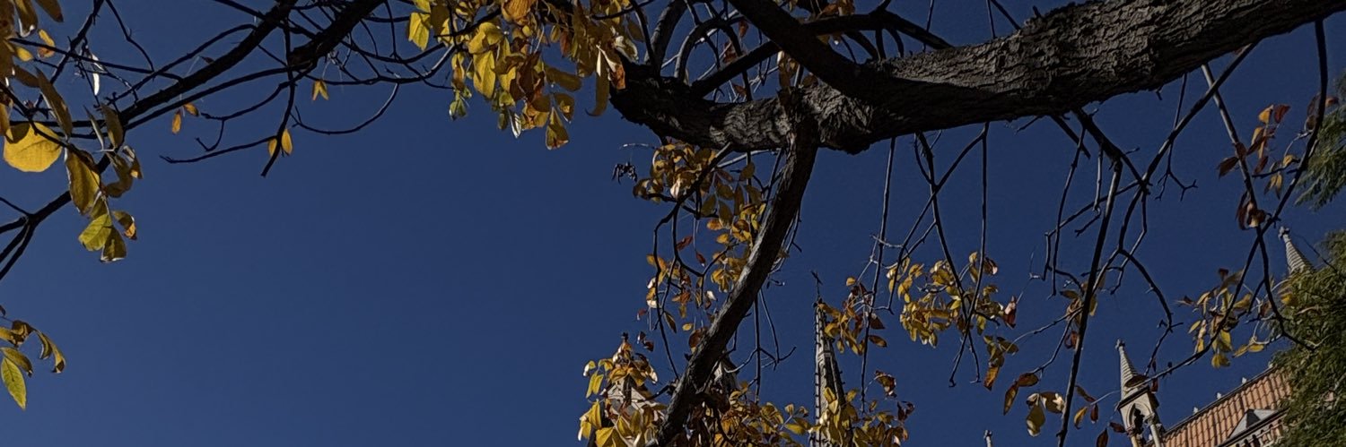cotepinitss's profile banner image