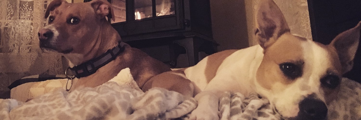 Susanspenader's profile banner image