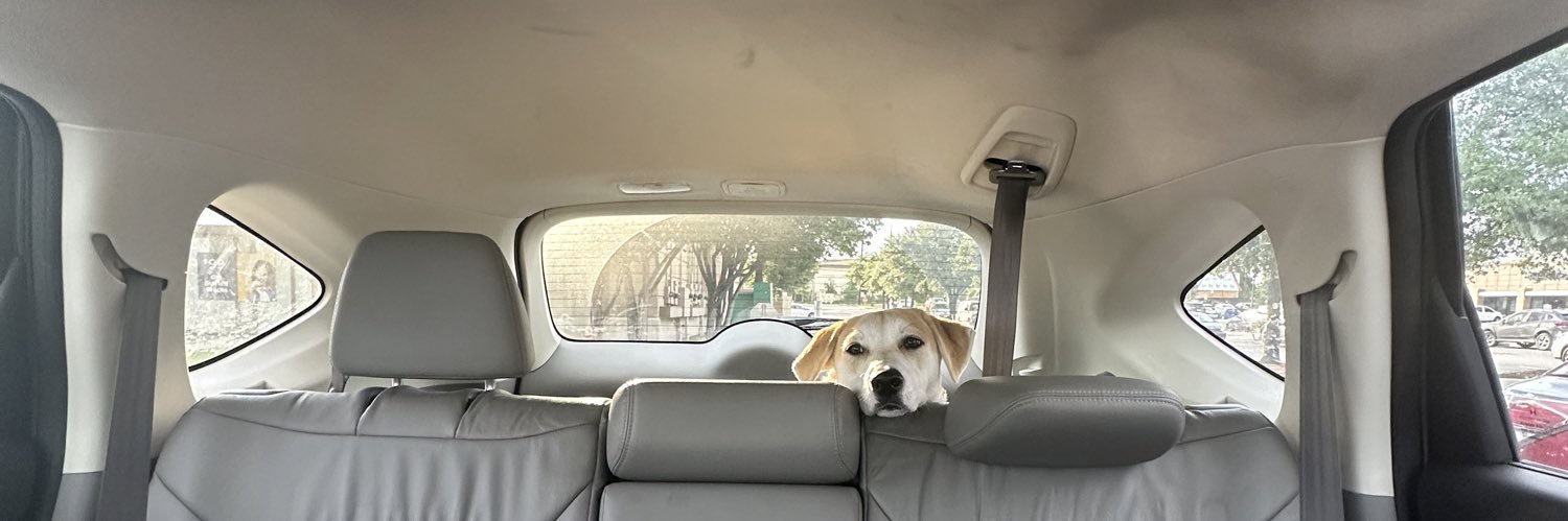 Evan Rapoport banner