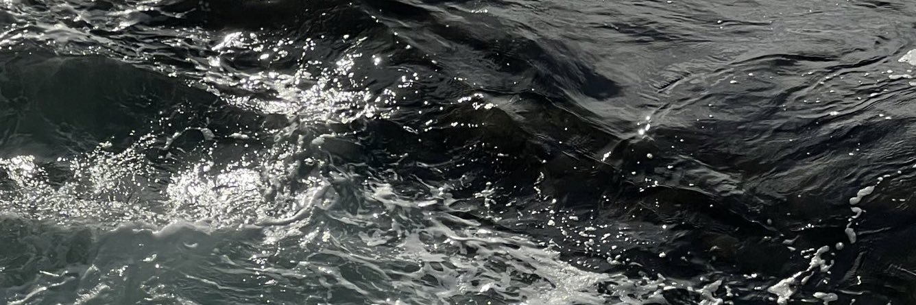 honeyy♡ banner