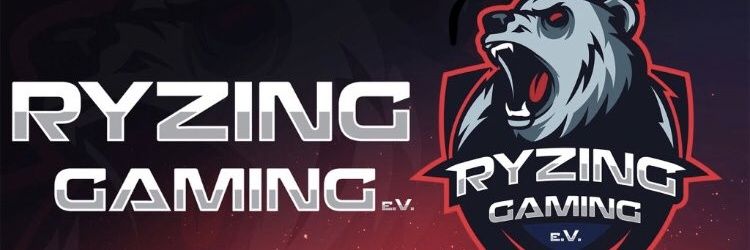 Ryzing.GaminG 🇫🇷 banner