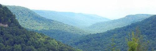 Phillip Wheeler banner