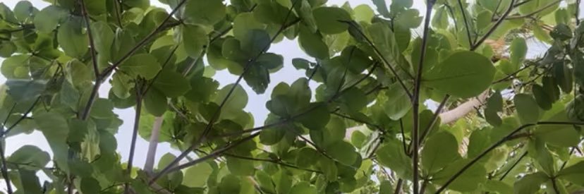 emmakayp's profile banner image