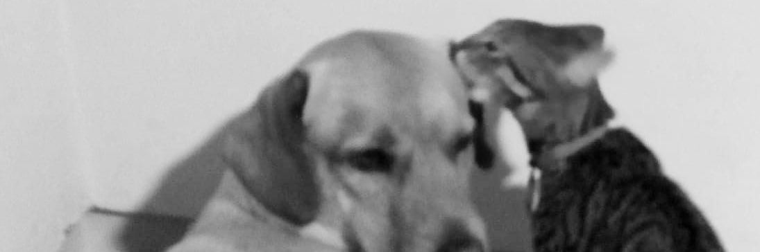 magui_bender's profile banner image