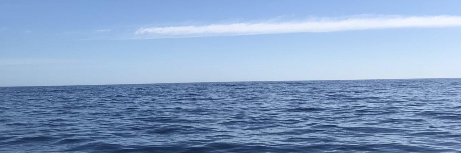 Lizet_ed's profile banner image