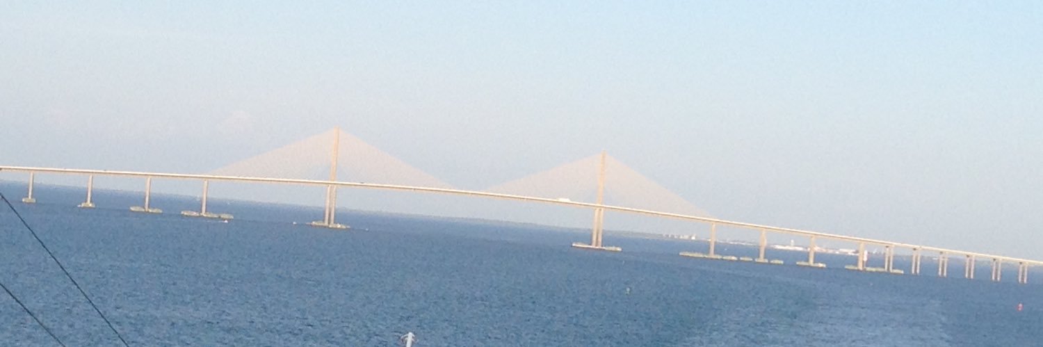 DanielleVarcardipone banner