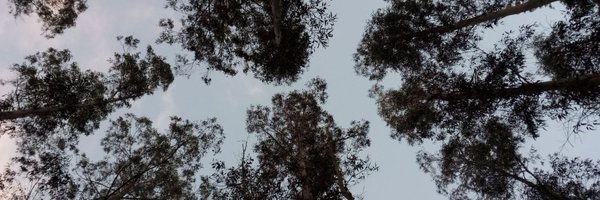 palo_redo Profile Banner