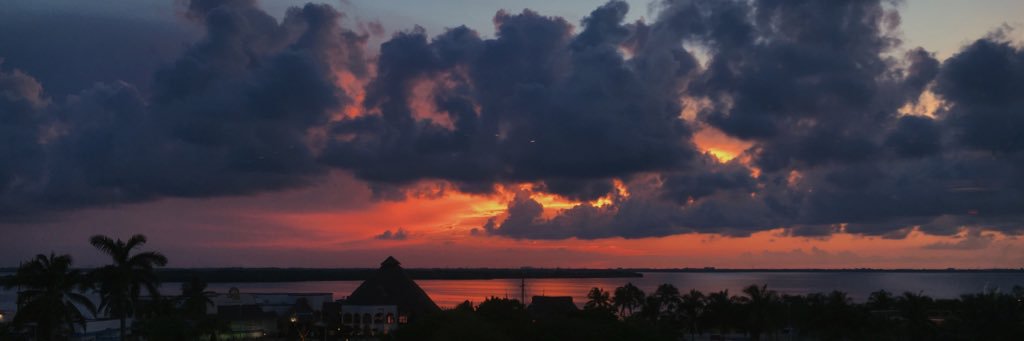 ammykimmy's profile banner image