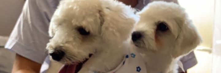 marionator97's profile banner image