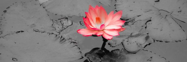 JoyfulAwareness Profile Banner